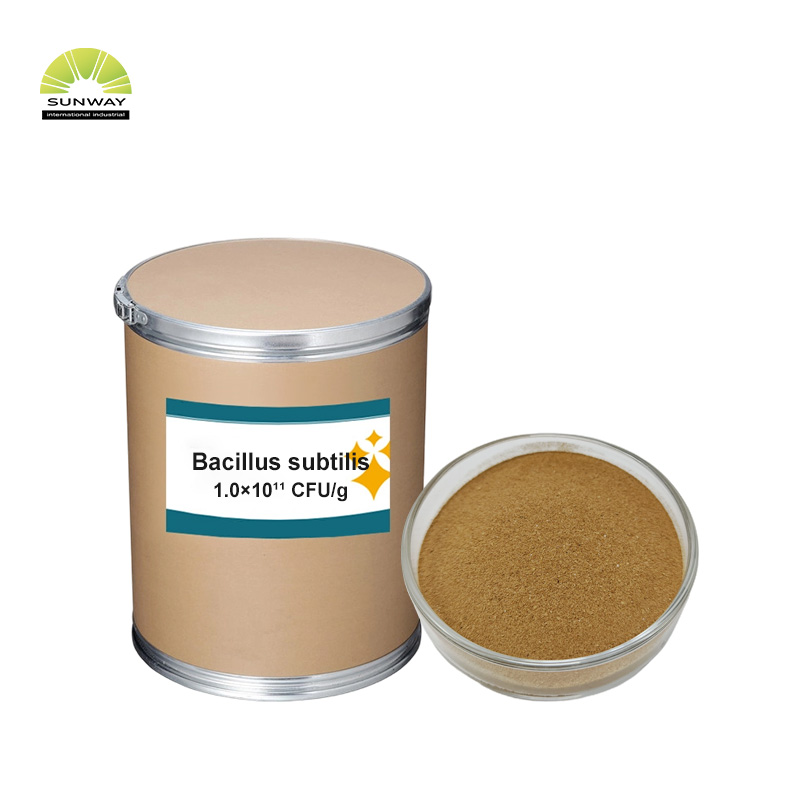 Additivi per mangimi animali 100 miliardi 150 miliardi 200 miliardi Polvere di Bacillus Subtilis