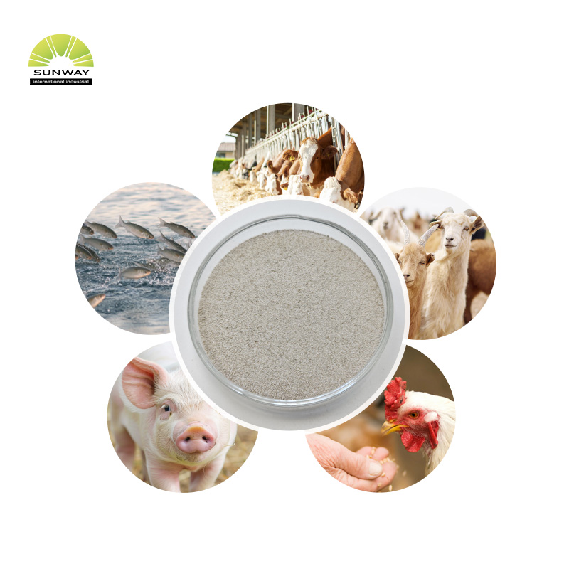 Enzima fitasi di grado alimentare per polvere di fitasi stabile all'acido di pollame Fitasi 5000 e 10000 disponibili