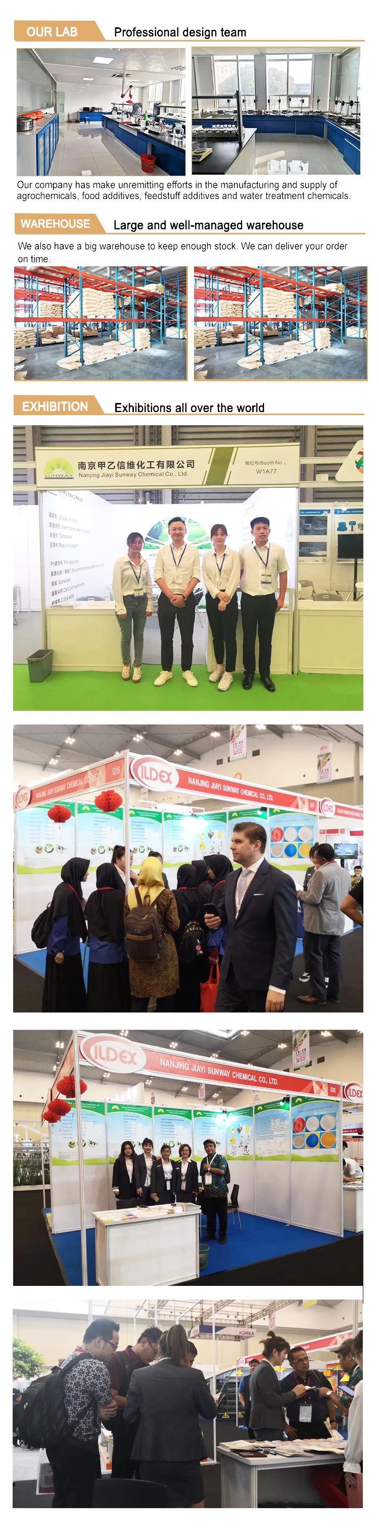 squadra di Calciopropionato