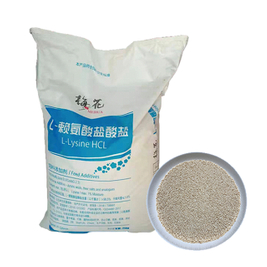 L-lisina Lisina per mangime Pollame 25 kg Borsa HCL 98,5% N. CAS 657-27-2