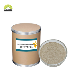 Fabbrica 20 miliardi di Saccharomyces Cerevisiae Brewers Lievito in polvere Additivo per mangimi animali per pollame Bestiame Suini Bovini Ovini