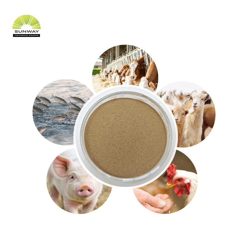 Beta mannanasi dell'enzima mannanasi di grado 50000u/g per migliorare l'immunità degli animali