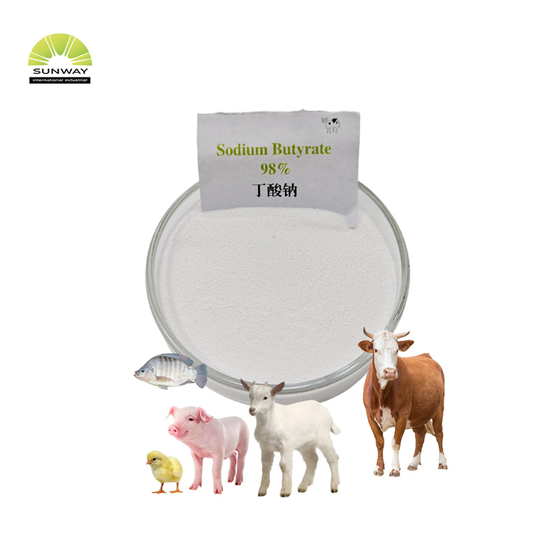 Grado di alimentazione 98% 40% 70% 90% Prezzo in polvere di butirrato di sodio