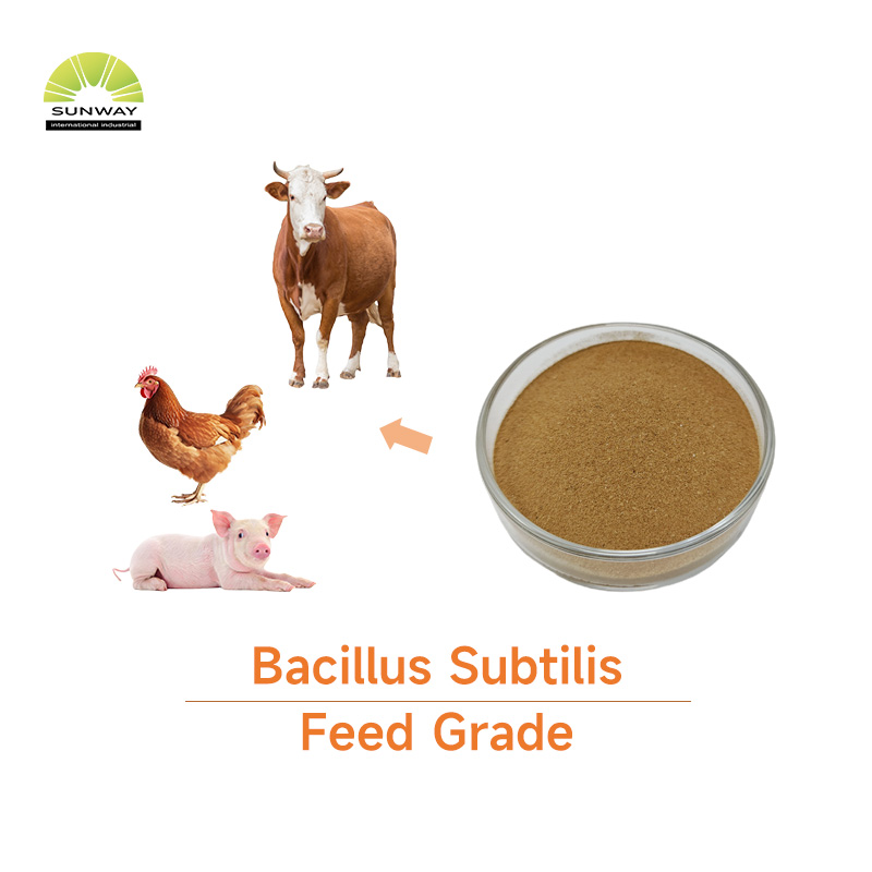 Additivi per mangimi animali 100 miliardi 150 miliardi 200 miliardi Polvere di Bacillus Subtilis