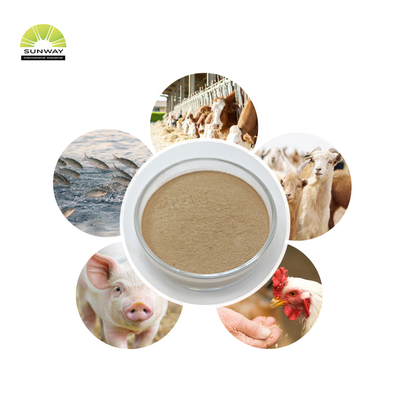 Prezzo della polvere di enzima alfa-amilasi termostabile di alta qualità