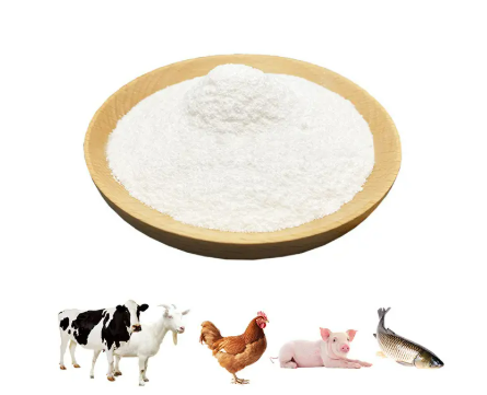 DL-Methionine1 DL-Metionina1