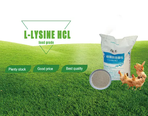 Cos'è la lisina HCl granulare e perché è importante nell'alimentazione per l'acquacoltura?
